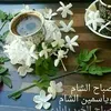 user686967964