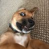 kyyyraaa.1