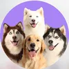 Turma do Hiro
