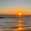 stephy69290