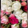 miral.lyliane