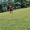 estarshadow