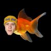 .joes_pet_goldfish