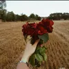 couk11