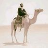 soliman_88