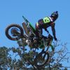 austinlynch219