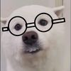 solo_un_chico_comun_