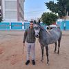 dr.ahmed.maal0