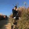 dlwlrmaibgdrgn