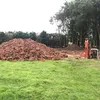 therealrockinghorse