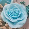 roseavilo