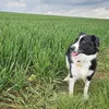 kellybaxt