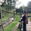 sijibomi_