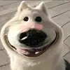 pppppp._.t