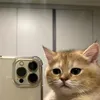 prol1ng