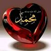 hanan1234581