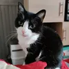 aurelie8111