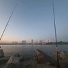fayazsheikh233