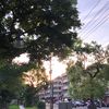 yeppeunharu