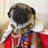 pfirstthepug