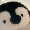penguinongong
