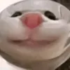neko47meow