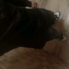 leonard_790