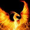 tatteredphoenix