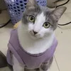 bonbonmeomeo