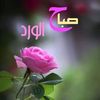 alihassin019