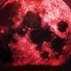 bloodymurd