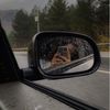 queensharaf223