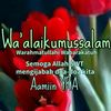 afifah_zahra0