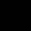 nq4t