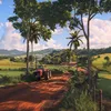 mineiro_86