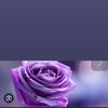 _lanette5