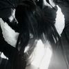 __1onne