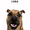 luna9916