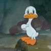 .iduckie