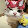 its_chris8