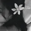 8_6r8