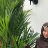 aboutsalsaaa4
