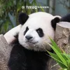 yiyi0099