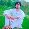 tahirhussaindawar