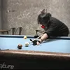 faker86662