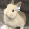 yennhu_1901