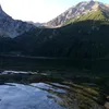 vitalikstas