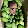 aywanq11