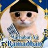 irfan.zzz56