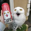 skwoqma